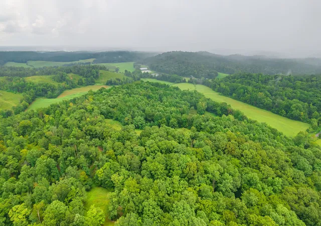 10th image of 2119 Bunches Chapel Rd, Parsons, TN 38363 | MLS# 3215745