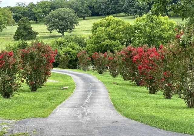 Photo 2 of Land for sale at 1839 Polly Adams Rd, Belfast, TN 37019 | MLS# 3215776 | Listing updated on 2026-08-22