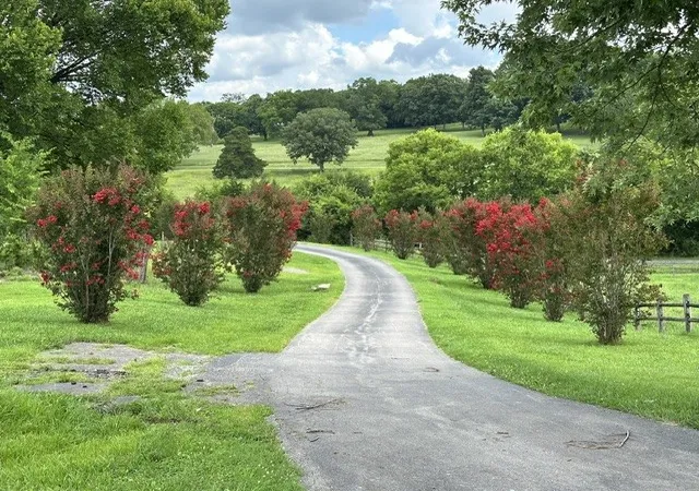 Photo 2 of Land for sale at 1839 Polly Adams Rd, Belfast, TN 37019 | MLS# 3215776 | Listing updated on 2026-08-22