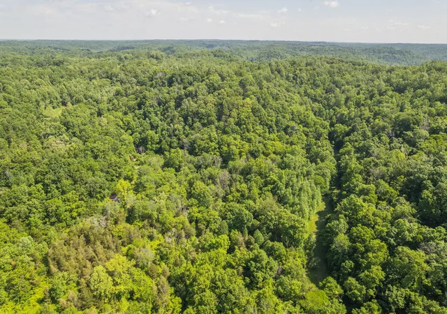 4th image of 0 Haze Hyde Hollow Rd, Bethpage, TN 37022 | MLS# 3218294