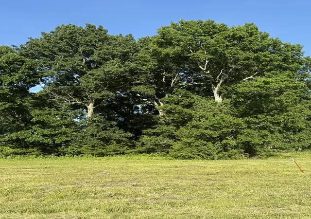 Photo 28 of Land for sale at 1988 Fayetteville Hwy, Belfast, TN 37019 | MLS# 3231775 | Listing updated on 2026-08-25