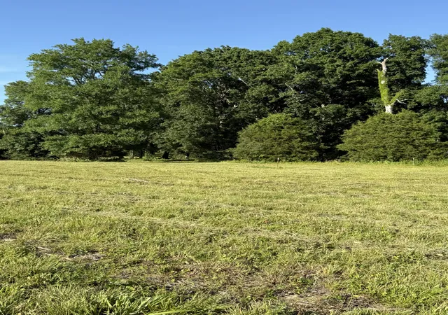 Photo 2 of Land for sale at 1988 Fayetteville Hwy, Belfast, TN 37019 | MLS# 3231775 | Listing updated on 2026-08-25
