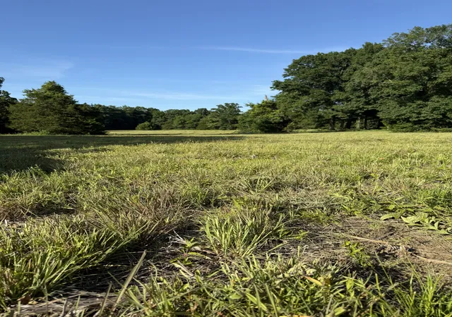 Photo 3 of Land for sale at 1988 Fayetteville Hwy, Belfast, TN 37019 | MLS# 3231775 | Listing updated on 2026-08-25