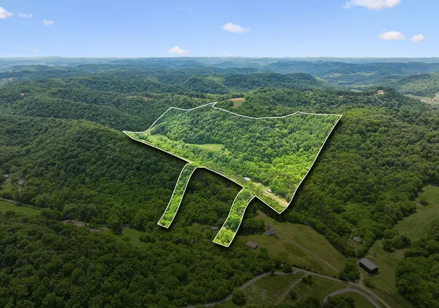 Homes for sale in Pleasant Shade, TN | 34 Friendship Hollow Rd N, Pleasant Shade, TN 37145 | MLS# 3217427