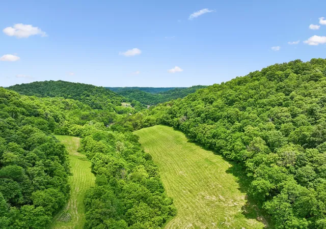 Homes for sale in Pleasant Shade, TN | 34 Friendship Hollow Rd N, Pleasant Shade, TN 37145 | MLS# 3217427