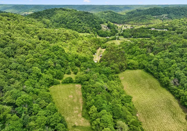 Homes for sale in Pleasant Shade, TN | 34 Friendship Hollow Rd N, Pleasant Shade, TN 37145 | MLS# 3217427