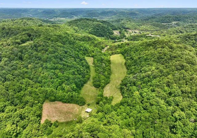 Homes for sale in Pleasant Shade, TN | 34 Friendship Hollow Rd N, Pleasant Shade, TN 37145 | MLS# 3217427