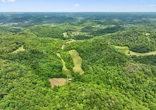 Homes for sale in Pleasant Shade, TN | 34 Friendship Hollow Rd N, Pleasant Shade, TN 37145 | MLS# 3217427