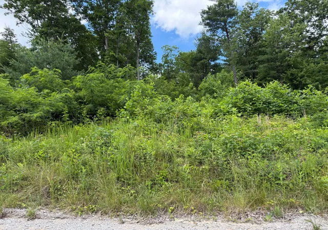 Homes for sale in Sparta, TN | 0 Coal Banks Road, Sparta, TN 38583 | MLS# 3216146