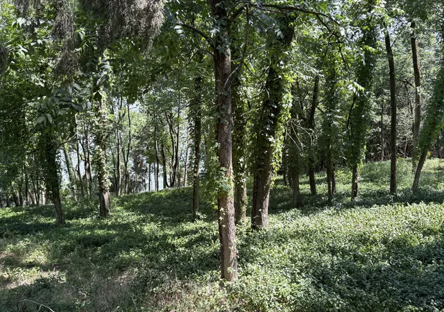 Photo 3 of Land for sale at 1060 Hickory Harbor Dr, Gallatin, TN 37066 | MLS# 3221651 | Listing updated on 2026-06-10