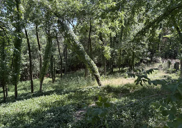 Photo 4 of Land for sale at 1060 Hickory Harbor Dr, Gallatin, TN 37066 | MLS# 3221651 | Listing updated on 2026-06-10