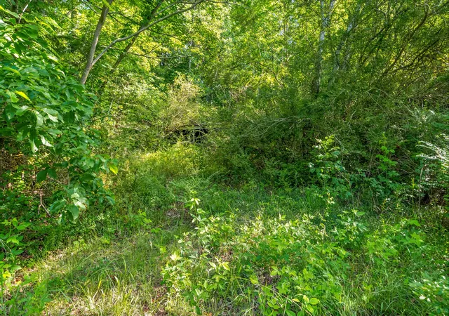 Homes for sale in Ashland City, TN | 1010 Saddle Tree Rd, Ashland City, TN 37015 | MLS# 3216248