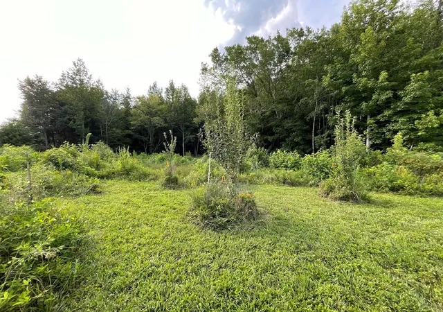 1st image of 0 Somerset Dr, Paris, TN 38242 | MLS# 3216707