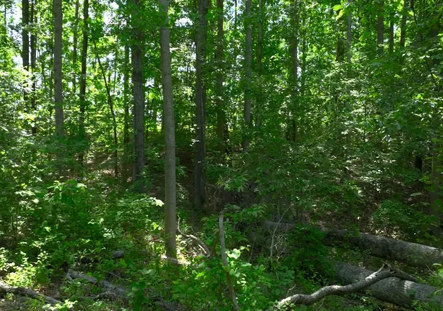 1st image of 0 Oak Hill, Lyles, TN 37098 | MLS# 3223205