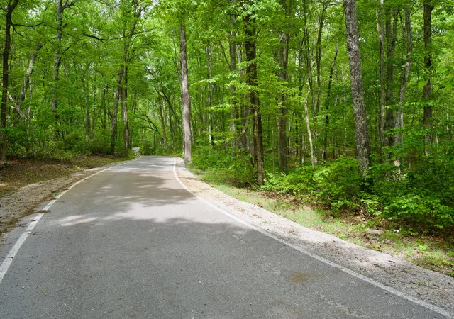 Homes for sale in Spencer, TN | 0 Hills Cemetery Rd, Spencer, TN 38585 | MLS# 3216450