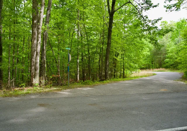 Homes for sale in Spencer, TN | 0 Hills Cemetery Rd, Spencer, TN 38585 | MLS# 3216450