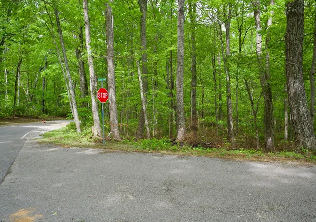Homes for sale in Spencer, TN | 0 Hills Cemetery Rd, Spencer, TN 38585 | MLS# 3216450