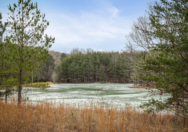 3rd image of 214 Edmonds Rd, Spencer, TN 38585 | MLS# 3216455