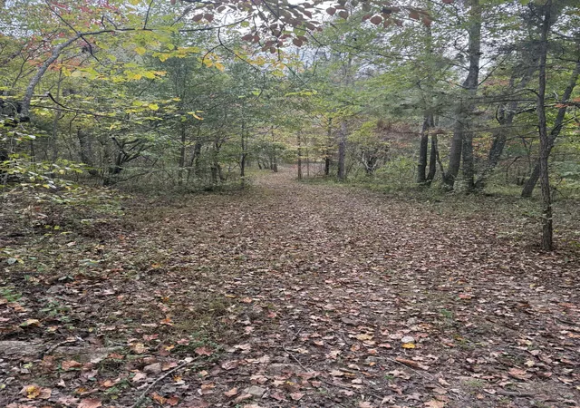 Homes for sale in Lawrenceburg, TN | 646 Brush Creek Rd, Lawrenceburg, TN 38464 | MLS# 3216559
