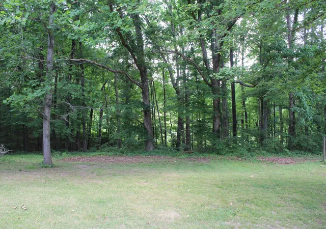 Homes for sale in Tennessee Ridge, TN | 110 Towering Oaks Dr, Tennessee Ridge, TN 37178 | MLS# 3220797