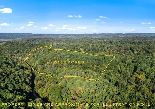 Homes for sale in Beechgrove, TN | 1979 Norton Branch Road, Beechgrove, TN 37018 | MLS# 3216987