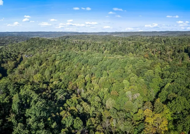 Photo 3 of Land for sale at 1979 Norton Branch Rd, Beechgrove, TN 37018 | MLS# 3216987 | Listing updated on 2026-09-03