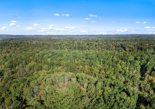 Photo 4 of Land for sale at 1979 Norton Branch Rd, Beechgrove, TN 37018 | MLS# 3216987 | Listing updated on 2026-09-03