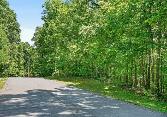 3rd image of 10 Mountain Harbor Trce, Sparta, TN 38583 | MLS# 3217122