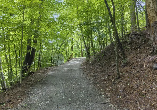 image of 250 Owl Trce, Smithville, TN 37166 | MLS# 3309368