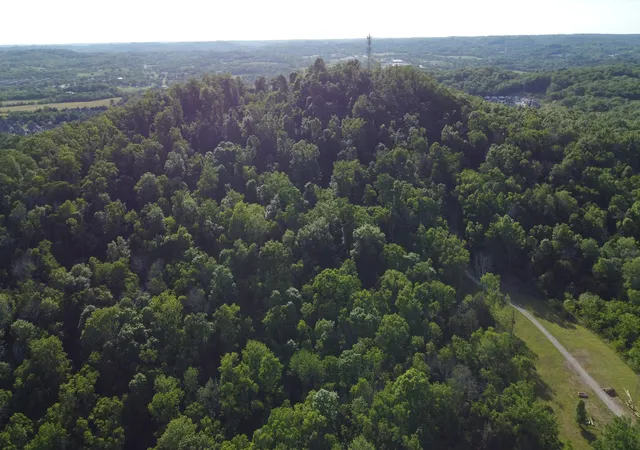 16th image of 112 Neals Pvt Ct, Gallatin, TN 37066 | MLS# 3221782