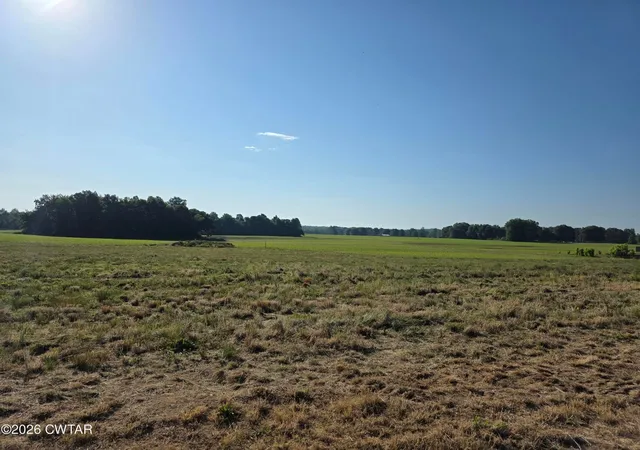 Homes for sale in Medon, TN | 2101 Hwy 18, Medon, TN 38356 | MLS# 3216962