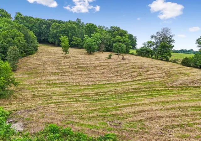 Homes for sale in Gordonsville, TN | 0 Hix Road, Gordonsville, TN 38563 | MLS# 3218099