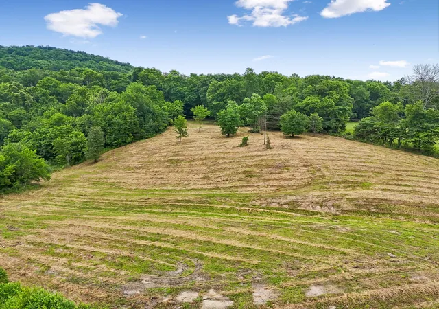Homes for sale in Gordonsville, TN | 0 Hix Road, Gordonsville, TN 38563 | MLS# 3218099