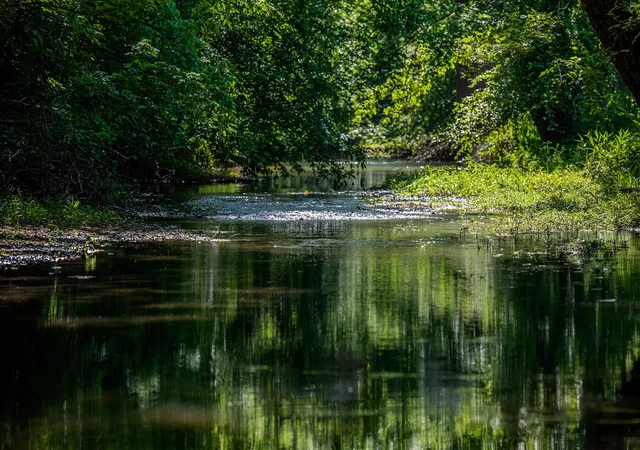38th image of 23620 Hwy 69, Adamsville, TN 38310 | MLS# 3216964