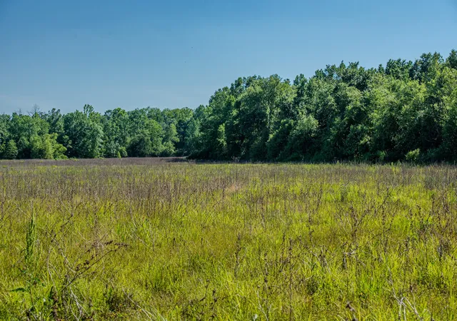 image of 23620 Hwy 69, Adamsville, TN 38310 | MLS# 3216964