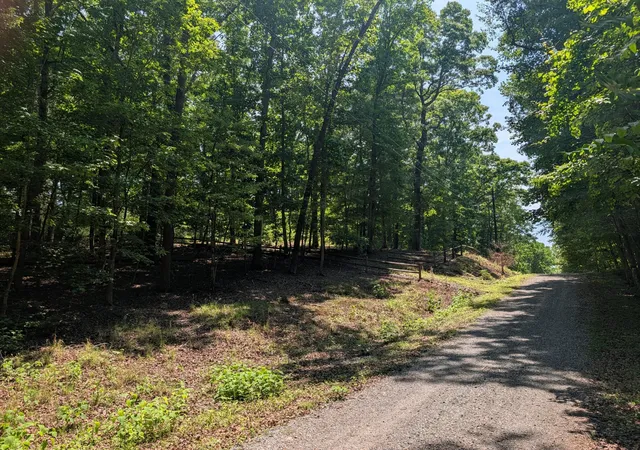 2nd image of 190 Fawnwood Dr, Spring City, TN 37381 | MLS# 3304357