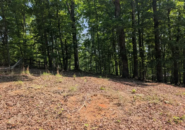 25th image of 190 Fawnwood Dr, Spring City, TN 37381 | MLS# 3304357