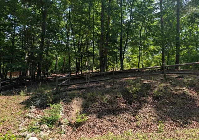 3rd image of 190 Fawnwood Dr, Spring City, TN 37381 | MLS# 3304357