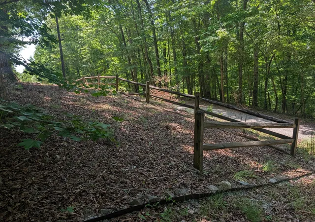4th image of 190 Fawnwood Dr, Spring City, TN 37381 | MLS# 3304357