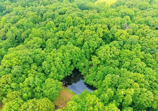 1st image of 17627 Campbellsville Rd, Lynnville, TN 38472 | MLS# 3242851