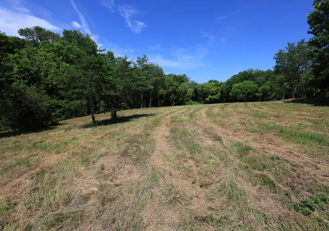 Homes for sale in Chapmansboro, TN | 5 Poplar Ridge Ln, Chapmansboro, TN 37035 | MLS# 3217423
