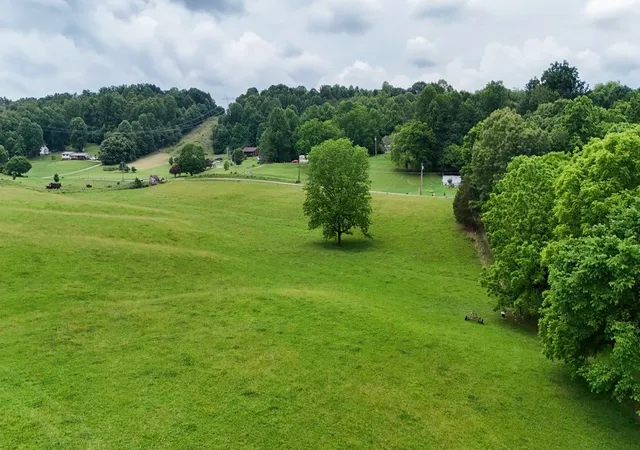 Homes for sale in Johnson City, TN | 1 Frog Level Rd, Johnson City, TN 37615 | MLS# 3248855