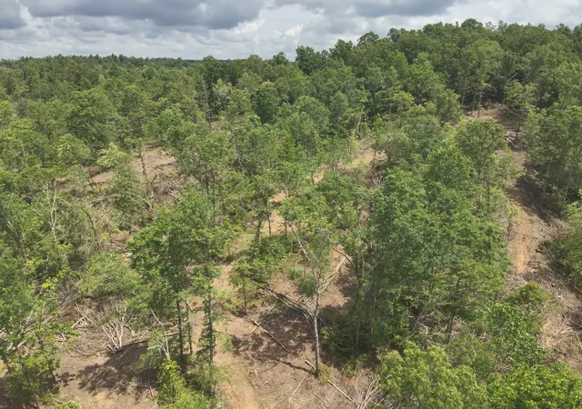 Homes for sale in Linden, TN | 8821 Hwy 412 E, Linden, TN 37096 | MLS# 3226586