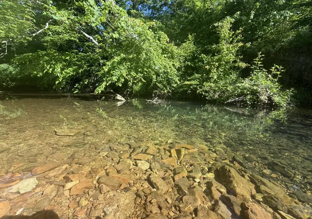 Homes for sale in Dover, TN | 0A Upperstanding Rock Rd, Dover, TN 37058 | MLS# 3217151