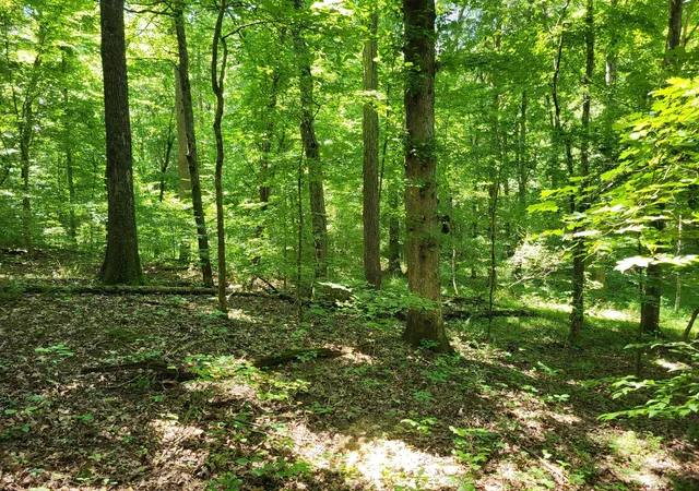 Homes for sale in Dover, TN | 0 Indian Creek Rd, Dover, TN 37058 | MLS# 3217157