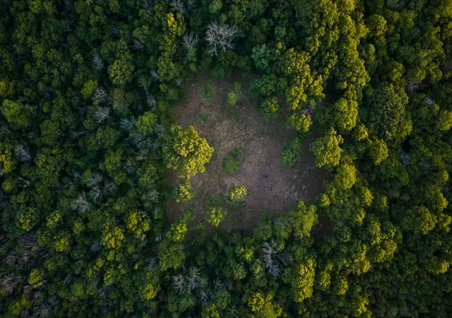 Photo 1 of Land for sale at 507 Fellowship Rd, Mount Juliet, TN 37122 | MLS# 3217154 | Listing updated on 2026-10-16