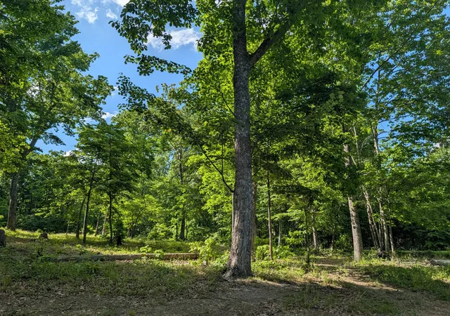 1st image of 9495 Red Oak Lane, Spring City, TN 37381 | MLS# 3304352