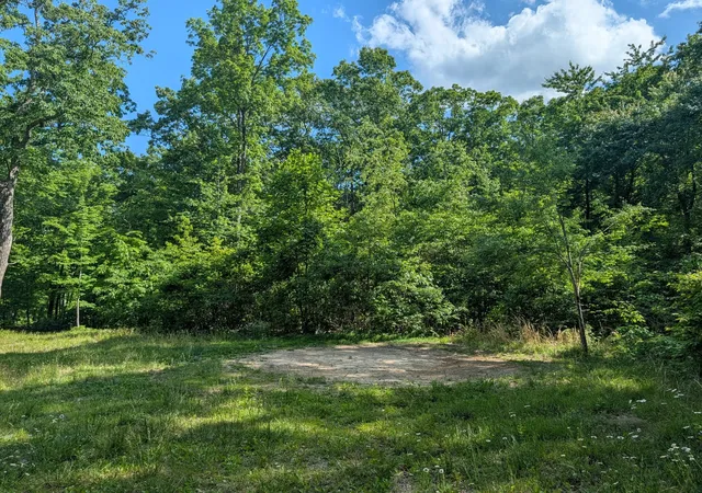 2nd image of 9495 Red Oak Lane, Spring City, TN 37381 | MLS# 3304352