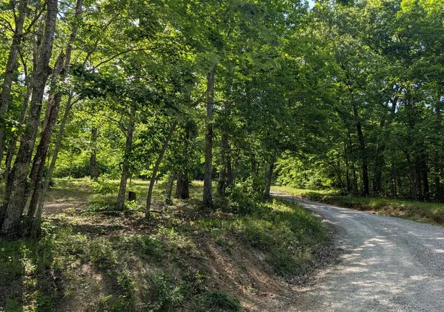 10th image of 9495 Red Oak Lane, Spring City, TN 37381 | MLS# 3304352