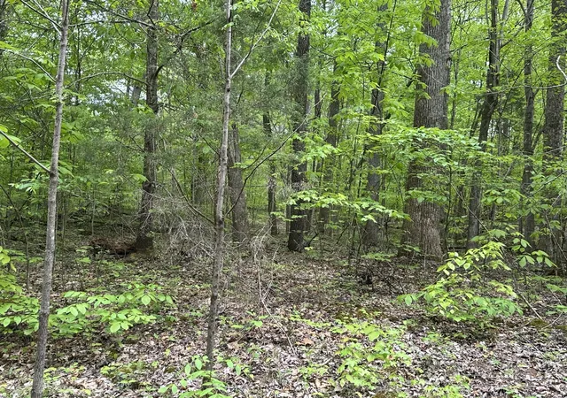 Homes for sale in Chapmansboro, TN | 2 Poplar Ridge Rd, Chapmansboro, TN 37035 | MLS# 3217594